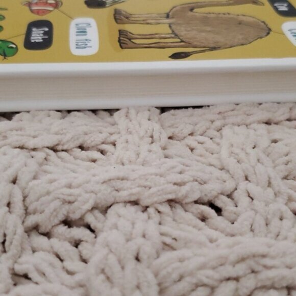 New "Little Explorers: The Animal World" Flap Board Book - Picture 12 of 14